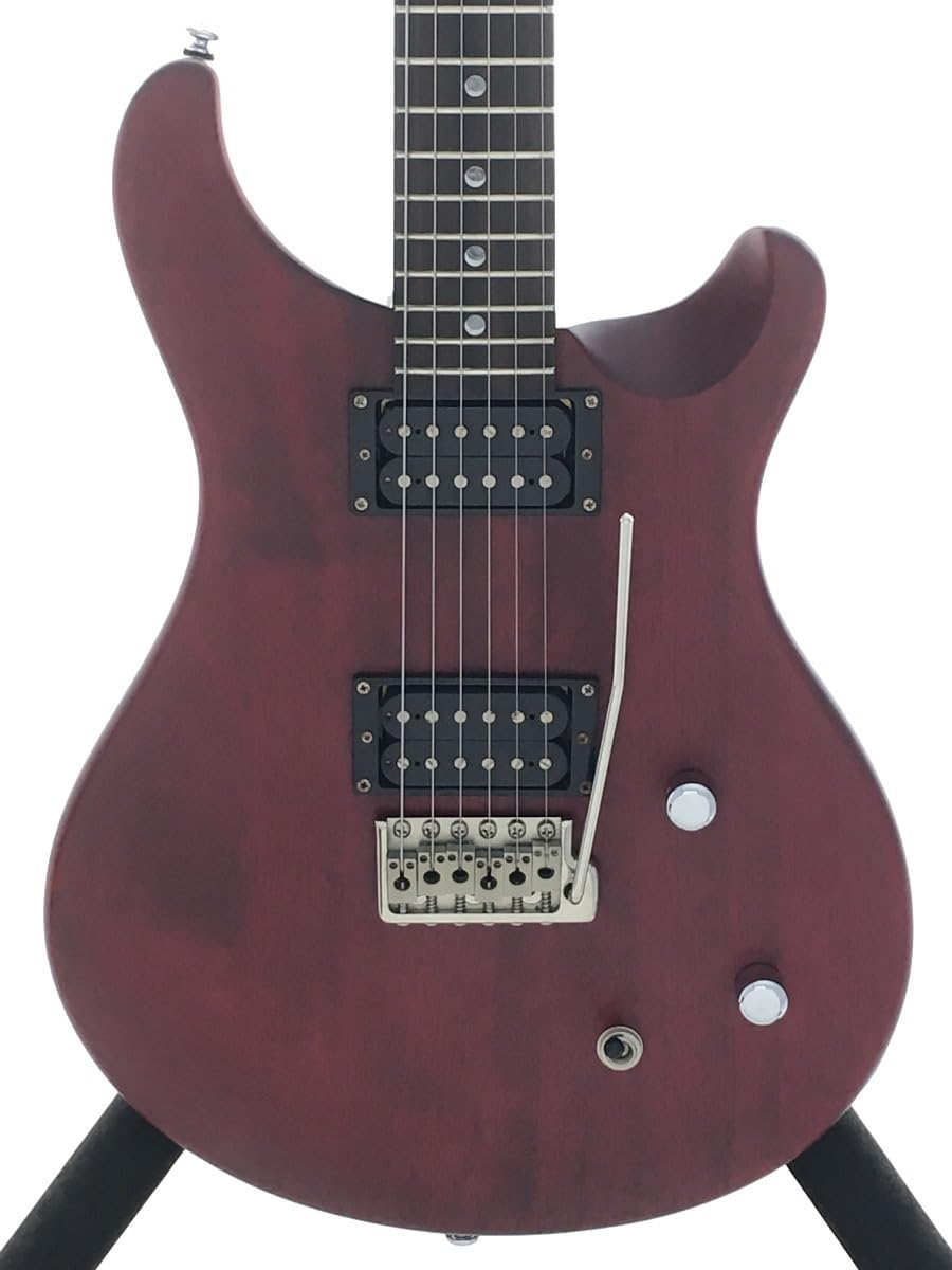 Amazon.co.jp: PRS(Paul Reed Smith)SE Standard222007マホガニー